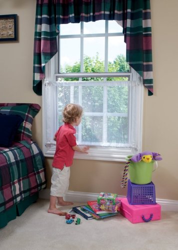 Mesh Window Guard