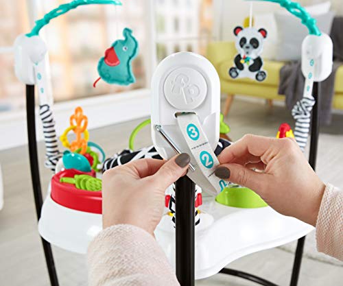 Fisher-Price Animal Wonders Jumperoo, Freestanding Infant Activity Toy
