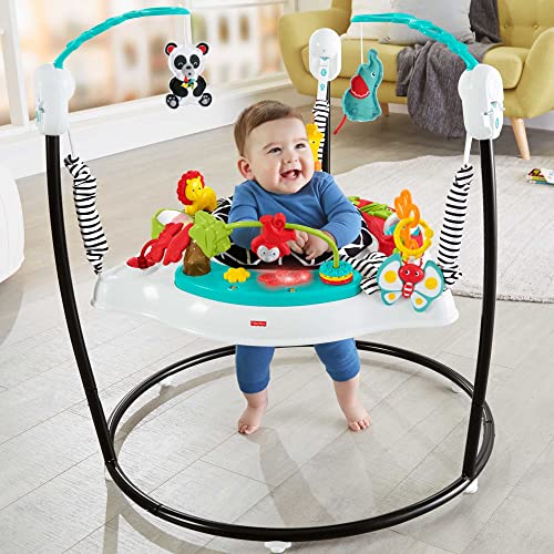 Fisher-Price Animal Wonders Jumperoo, Freestanding Infant Activity Toy