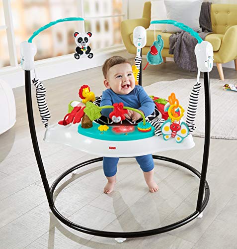 Fisher-Price Animal Wonders Jumperoo, Freestanding Infant Activity Toy