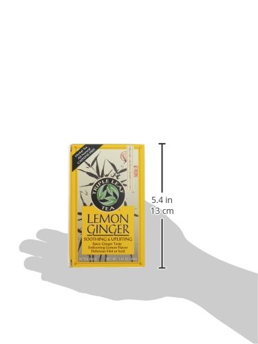 Triple Leaf Tea 1565829 Lemon Ginger 20 Tea Bags