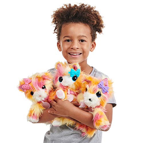 Little Live Scruff-A-Luvs S3 Single Pk - Tutti FRUITI