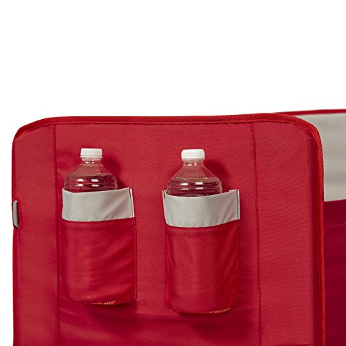 Radio Flyer 3-in-1 EZ Fold Wagon Ride On, Red
