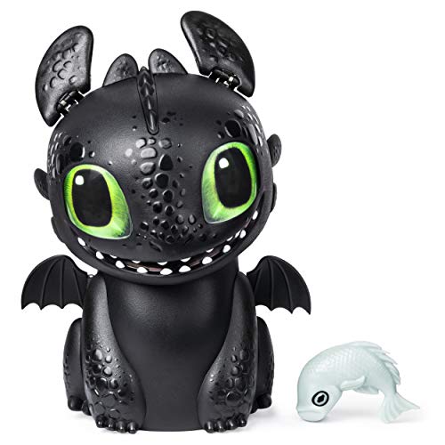 DreamWorks - How to Train Your Dragon - Hatching Toothless - Hatch, Train, Bond & Interact - Ages 5+
