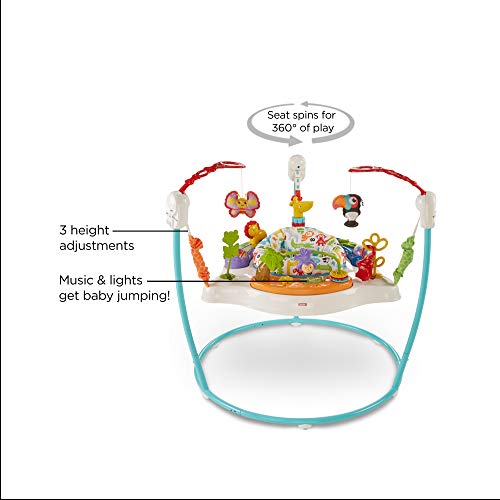 Fisher-Price Color Climbers Jumperoo