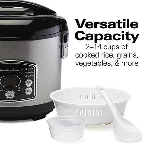 Hamilton Beach Rice & Hot Cereal Cooker, 7-Cups uncooked Resulting in 14-Cups (Cooked), with Steam & Rinse Basket (37548)