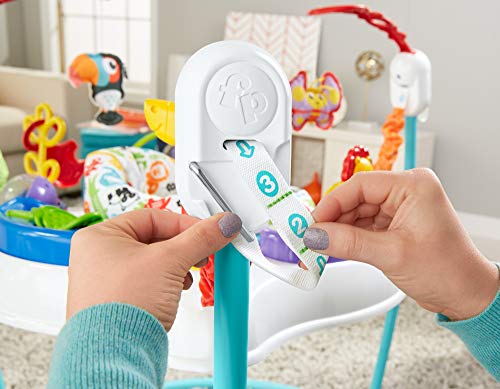 Fisher-Price Color Climbers Jumperoo