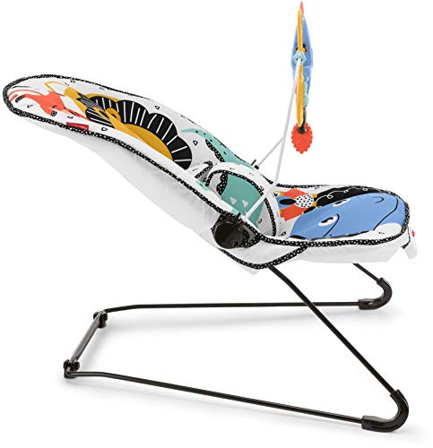 Fisher-Price Baby's Bouncer