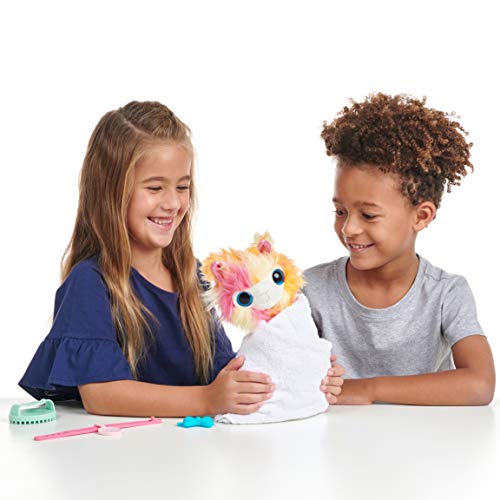 Little Live Scruff-A-Luvs S3 Single Pk - Tutti FRUITI