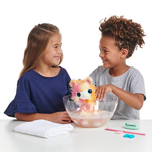 Little Live Scruff-A-Luvs S3 Single Pk - Tutti FRUITI
