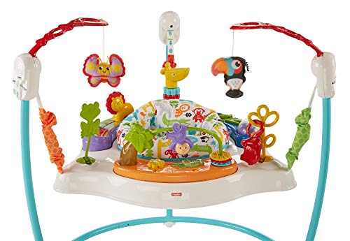 Fisher-Price Color Climbers Jumperoo