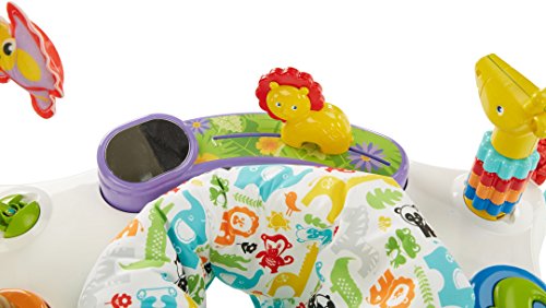 Fisher-Price Color Climbers Jumperoo