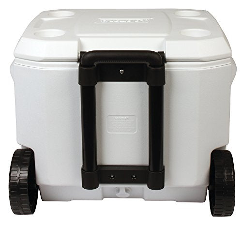 Coleman 50qt Marine Cooler