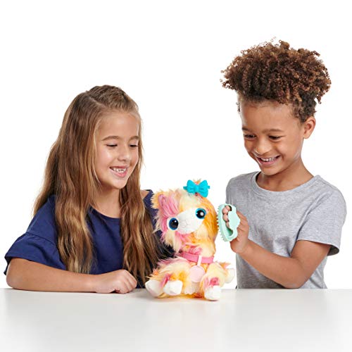 Little Live Scruff-A-Luvs S3 Single Pk - Tutti FRUITI