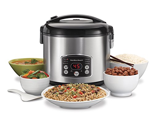 Hamilton Beach 37548 Rice & Hot Cereal Cooker, Stainless Steel
