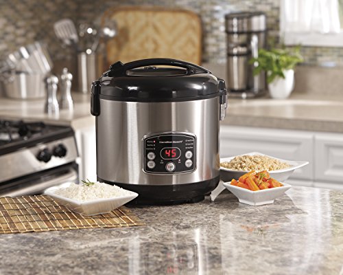 Hamilton Beach 37548 Rice & Hot Cereal Cooker, Stainless Steel