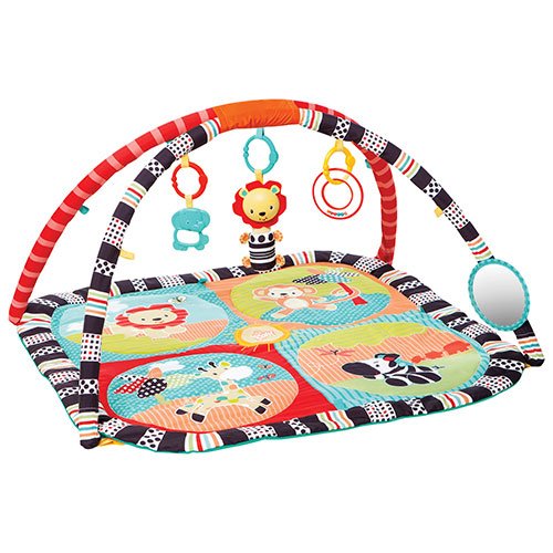 Bright Starts Roaming Safari Activity Gym (KII-52039)_Multi-colour_One size