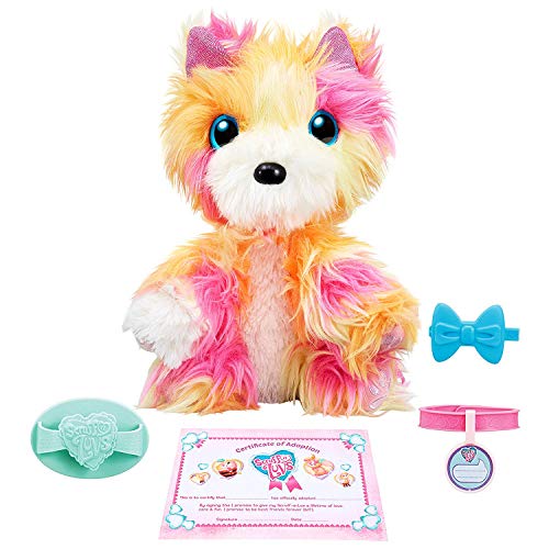 Little Live Scruff-A-Luvs S3 Single Pk - Tutti FRUITI