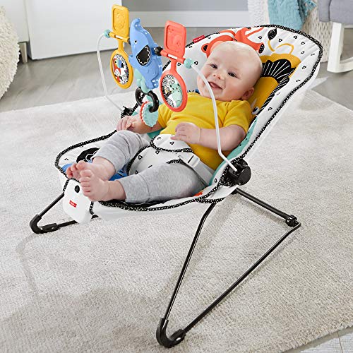 Fisher-Price Baby's Bouncer