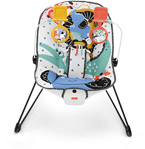 Fisher-Price Baby's Bouncer