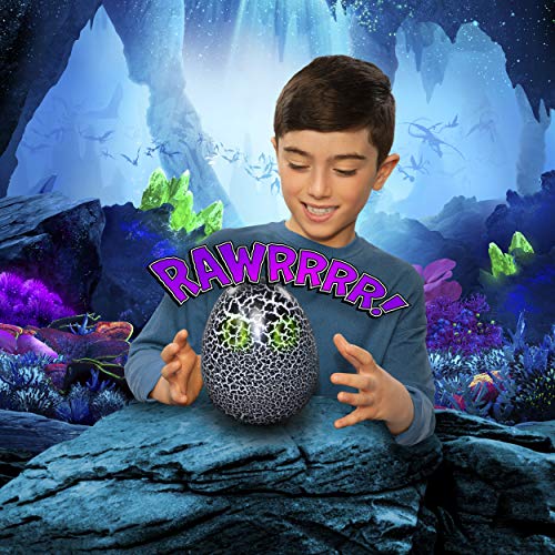 DreamWorks - How to Train Your Dragon - Hatching Toothless - Hatch, Train, Bond & Interact - Ages 5+
