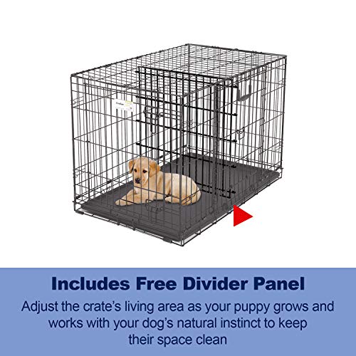 Ovation Folding Dog Crate | Dog Crate Features Space-Saving Overhead “Garage” Style Door & Comes Fully Equipped w/ Replacement Tray, Divider Panel & Floor Protecting Roller Feet