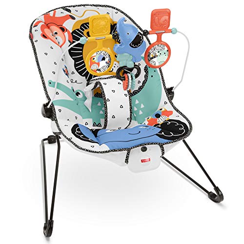 Fisher-Price Baby's Bouncer