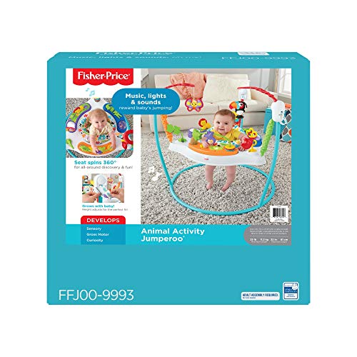Fisher-Price Color Climbers Jumperoo