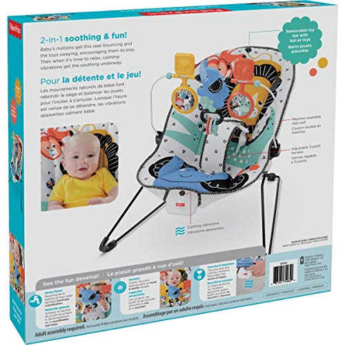 Fisher-Price Baby's Bouncer