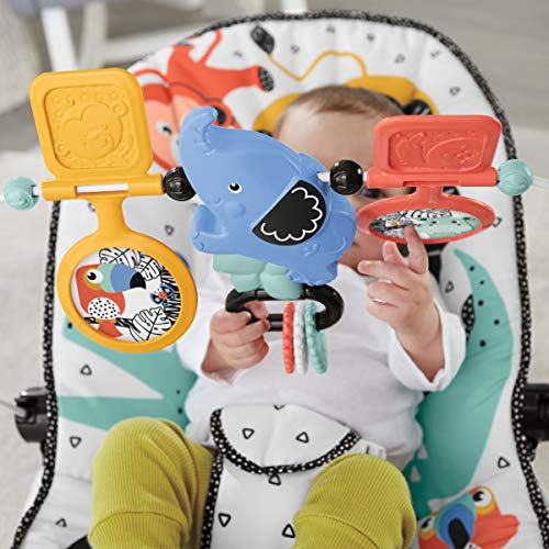 Fisher-Price Baby's Bouncer