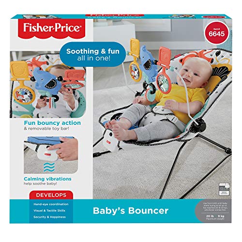 Fisher-Price Baby's Bouncer