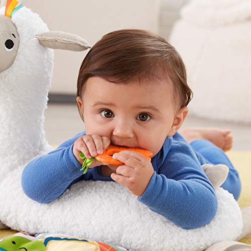 Fisher-Price Grow-With-Me Tummy Time Llama