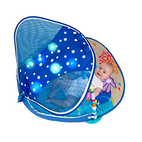 Disney Baby Mr. Ray Ocean Lights Activity Gym