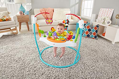 Fisher-Price Color Climbers Jumperoo