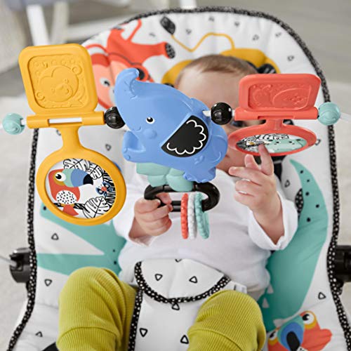 Fisher-Price Baby's Bouncer