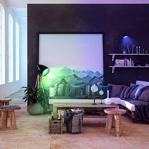 LIFX Wi-Fi Smart LED Light Bulb, Adjustable, Multicolor, Dimmable, No Hub Required, Works with Alexa