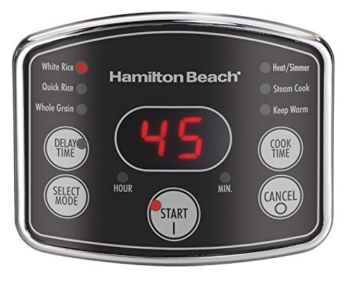 Hamilton Beach 37548 Rice & Hot Cereal Cooker, Stainless Steel