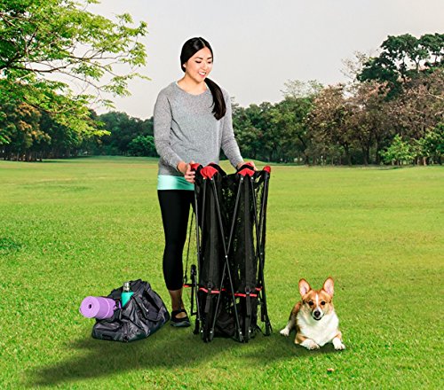 Carlson 6-Panel Foldable and Portable Steel Pet Exercise and Play Pen, Indoor and Outdoor, with Carrying Case, Red