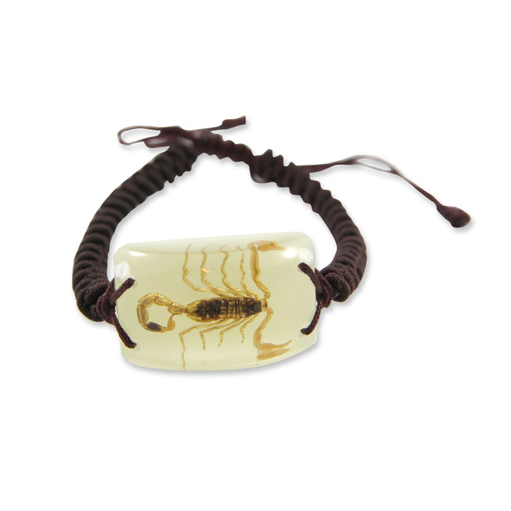Ed Speldy East YL05 Real Bug Bracelet-Scorpion pack of 3
