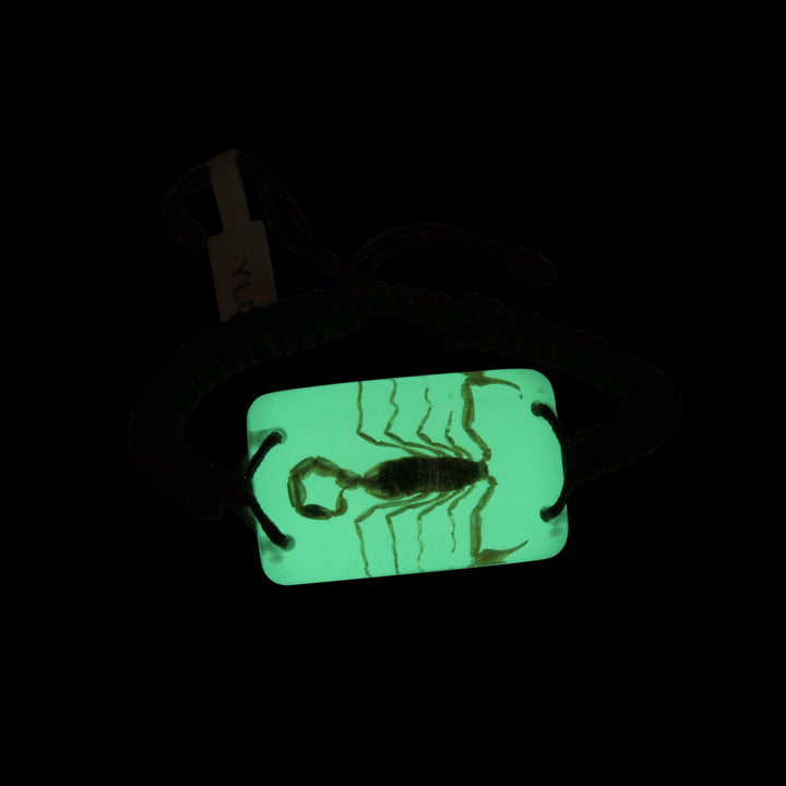 Ed Speldy East YL05 Real Bug Bracelet-Scorpion pack of 3