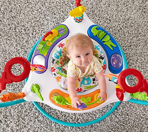 Fisher-Price Color Climbers Jumperoo