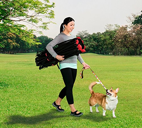 Carlson 6-Panel Foldable and Portable Steel Pet Exercise and Play Pen, Indoor and Outdoor, with Carrying Case, Red
