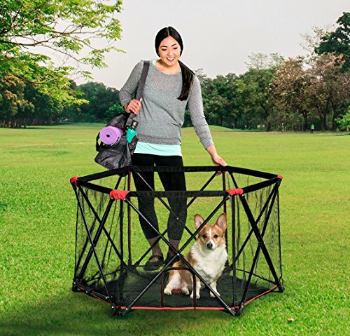 Carlson 6-Panel Foldable and Portable Steel Pet Exercise and Play Pen, Indoor and Outdoor, with Carrying Case, Red