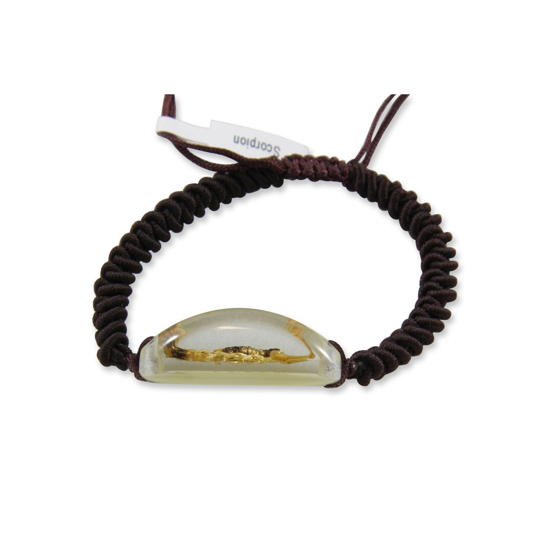 Ed Speldy East YL05 Real Bug Bracelet-Scorpion pack of 3