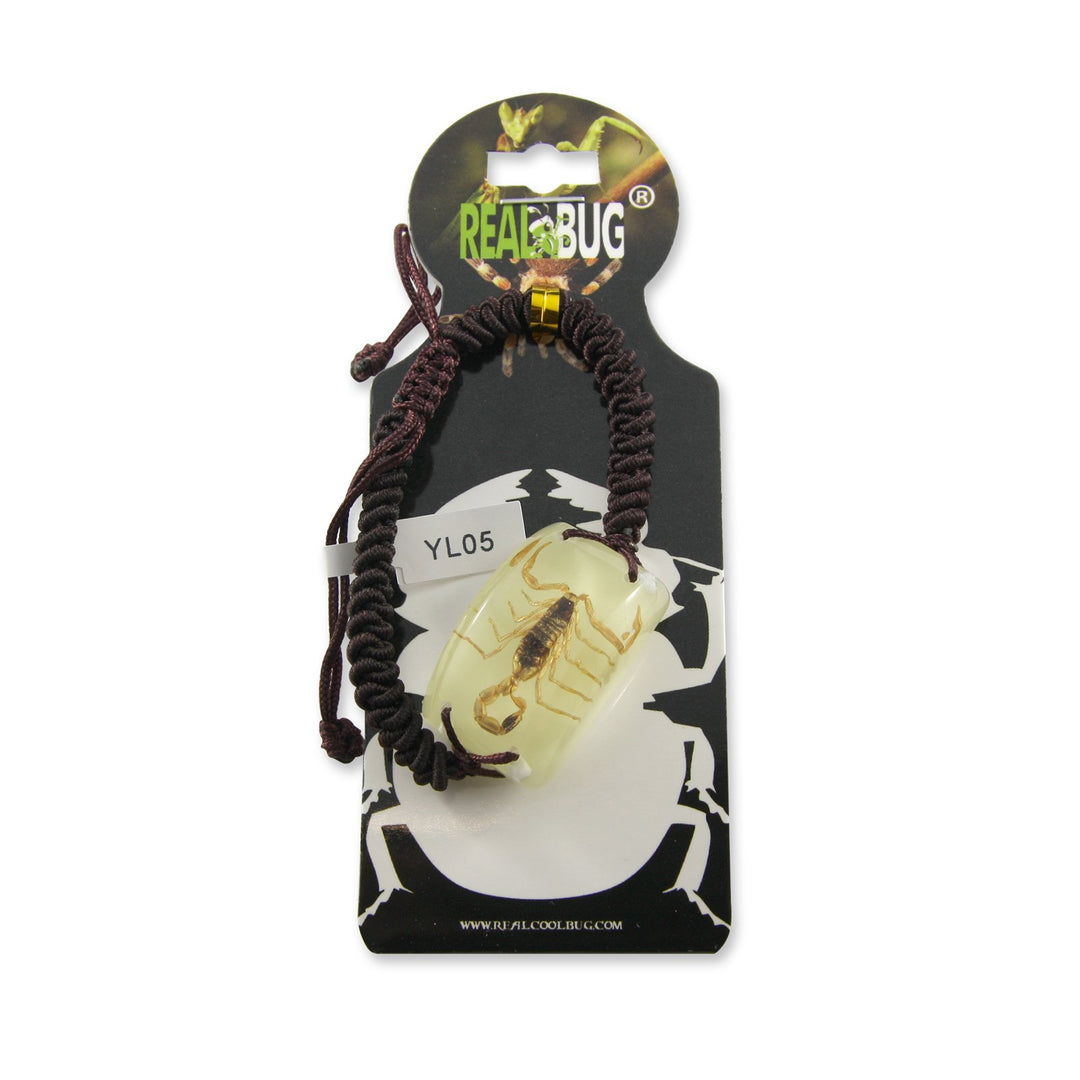 Ed Speldy East YL05 Real Bug Bracelet-Scorpion pack of 3