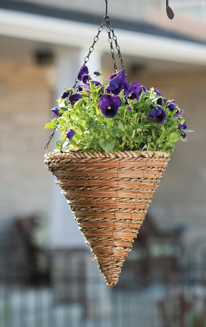 Panacea 88636 Cone Hanging Basket, Rope and Fern, 12-Inch