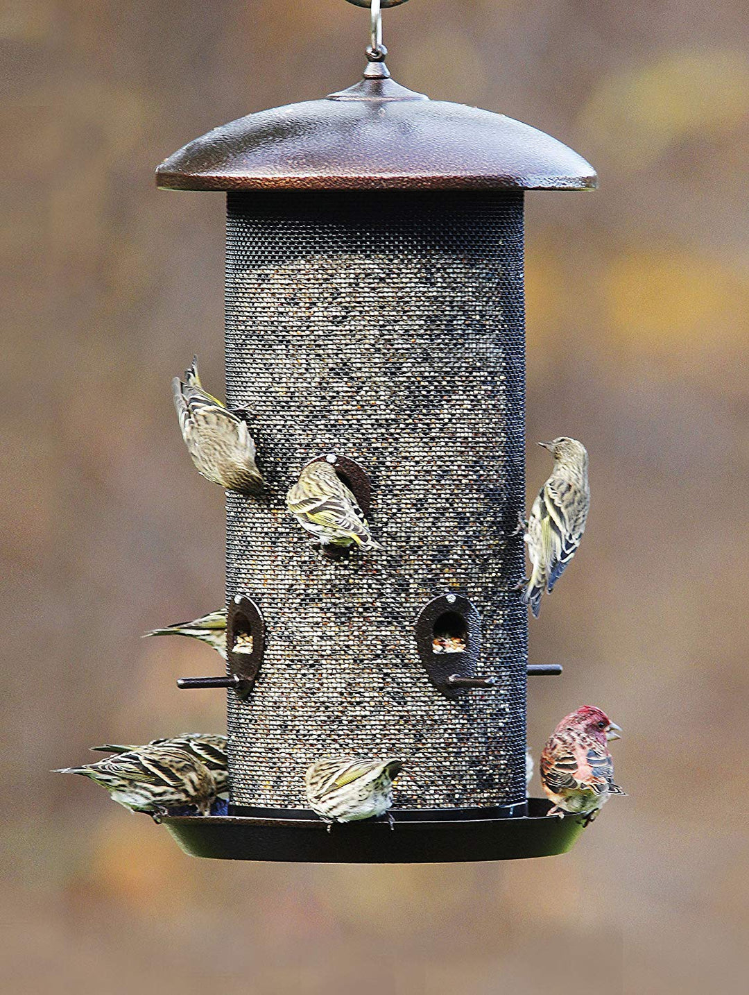 Stokes Select Giant Combo Bird Feeder with Two Seed Compartments, Copper, 8 lb Seed Capacity