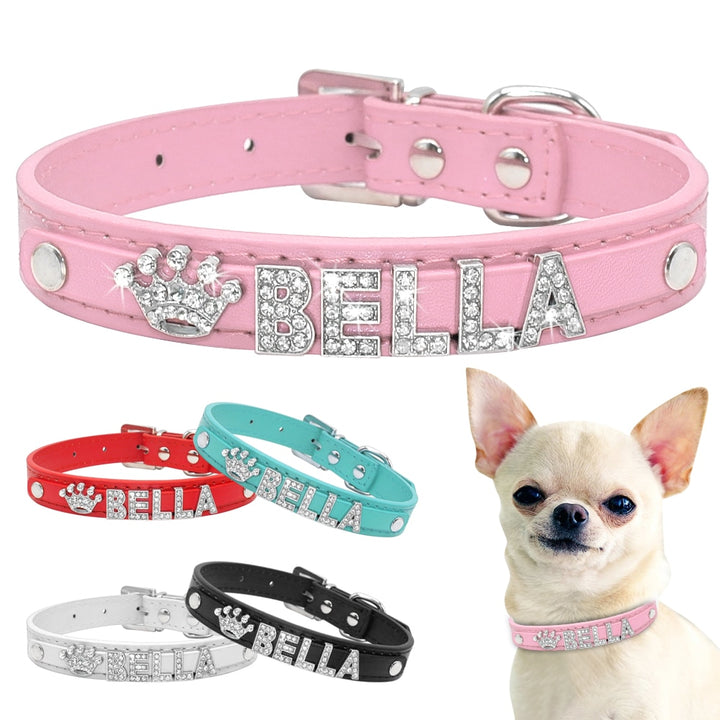 Puppy Dog Collars