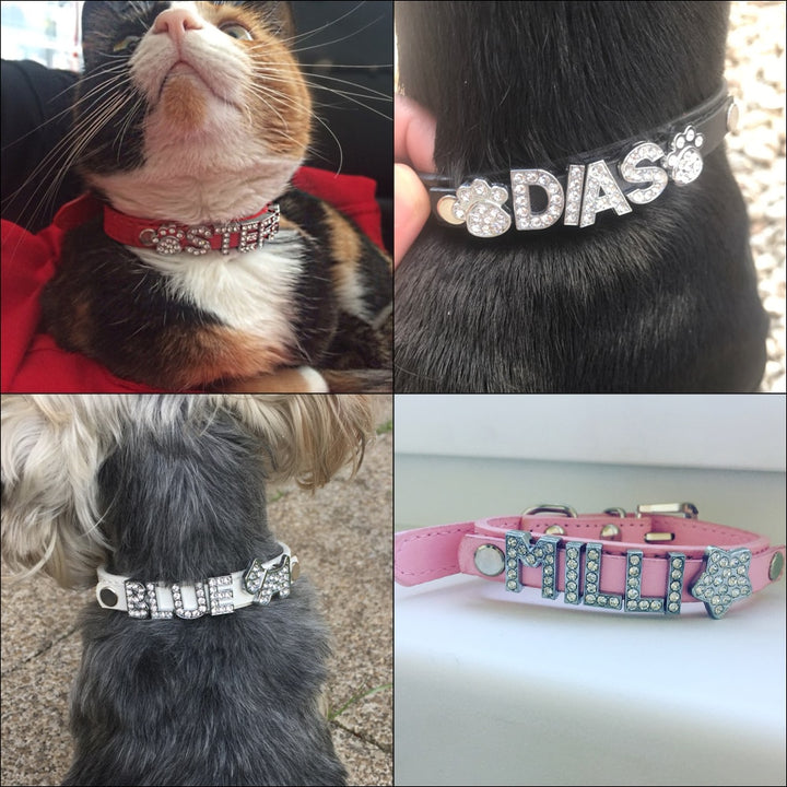 Puppy Dog Collars
