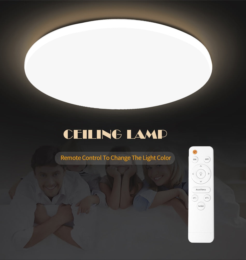 Modern LED Ceiling Light